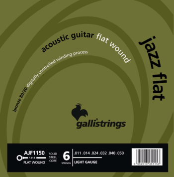 Acoustic Bronze Flat Wounds